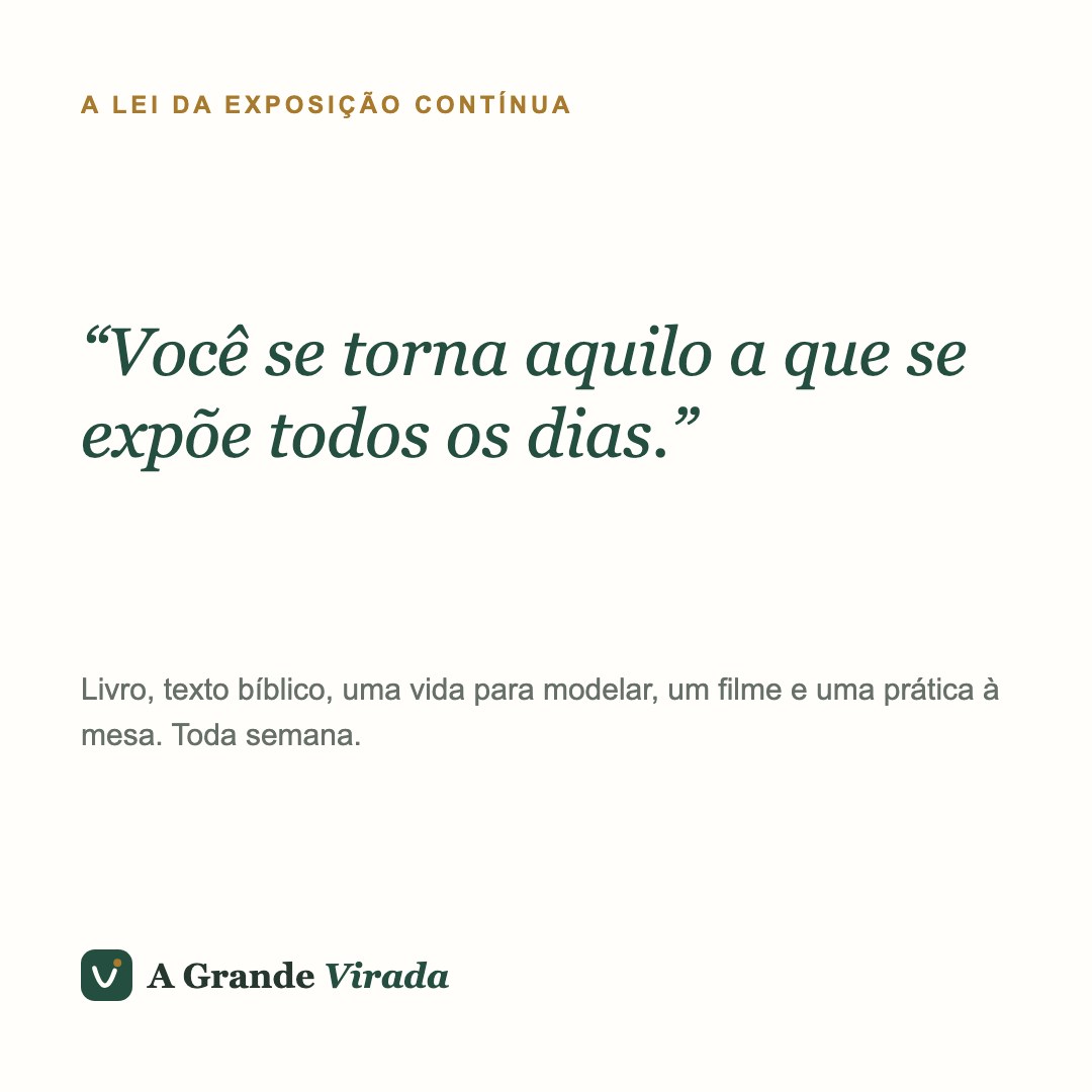 Feed · A Lei da Exposição Contínua